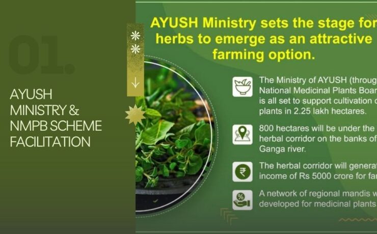 ayush-ministry-nmpb-scheme-facilitation